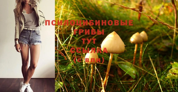 мет Баксан
