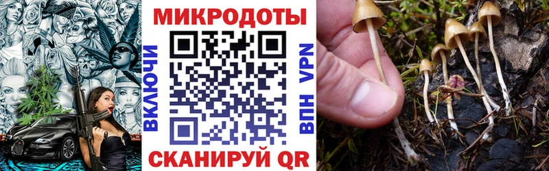 наркотики Верхоянск Псилоцибиновые грибы Cubensis